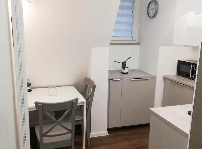 Zaulek Bialoskorniczy Breslavia